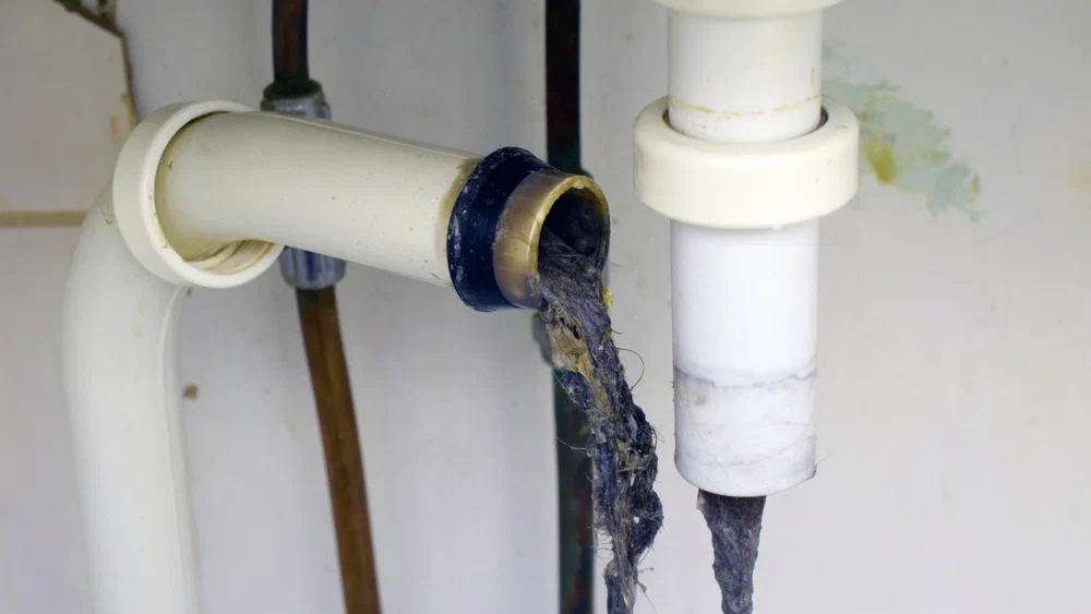 Close-up of a severely blocked sink pipe showing why professional drain cleaning services are essential